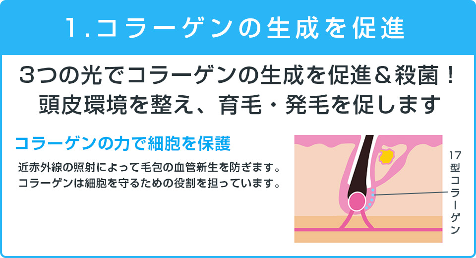 ➀コラーゲンを生成する